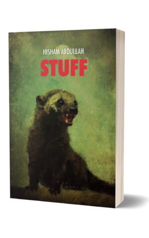 Stuff by Hisham Abdullah